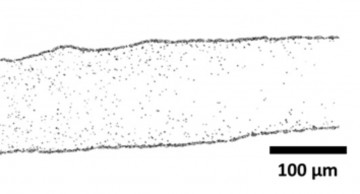 Evaporation of Sessile Droplets