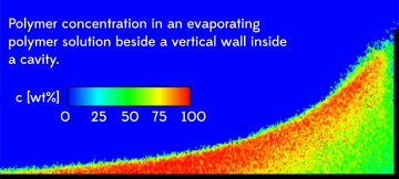 Evaporation-Driven Low Reynolds Number Flows